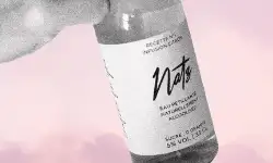 Les Hard Seltzers : effet de mode ou produit d'avenir ? 4